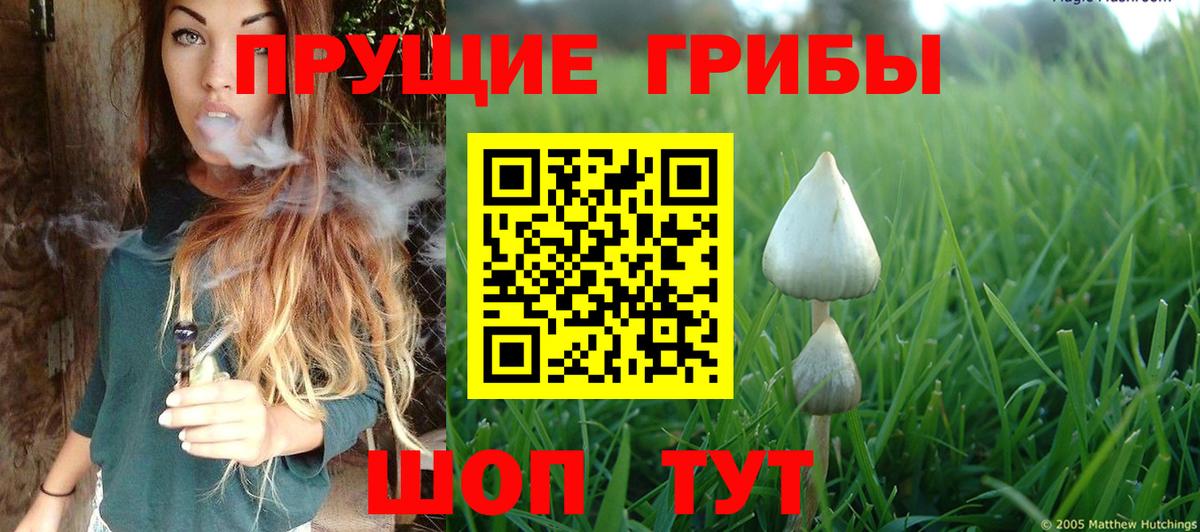Галлюциногенные грибы Cubensis  Галлюциногенные грибы Psilocybine cubensis  Вход с VPN  Южноуральск 